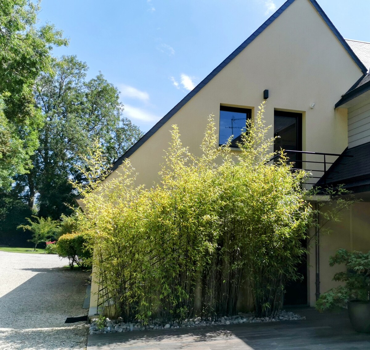 A contemporary house exterior is framed by lush green bamboo, enhancing the natural surroundings. The structure features large windows that allow natural light to fill the interior. Gravel pathways lead to the entrance, complemented by manicured landscaping visible in the background.