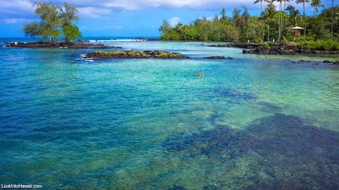 Honu Hale 3 Tropical Apartment!
