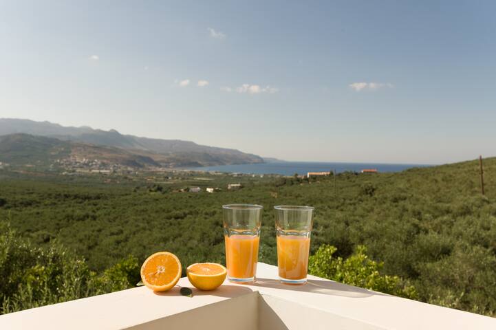 Private pool★BBQ area ★ Sea View gallery image 4