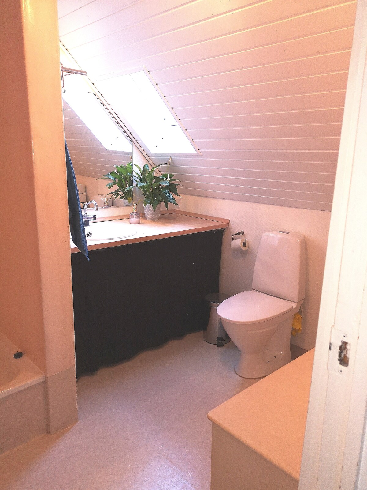 A compact bathroom is highlighted, featuring a sink with storage beneath and a toilet adjacent to it. Natural light filters through a skylight, enhancing the room's brightness. A green plant adds a touch of freshness, while beige walls create a soft and neutral ambiance.