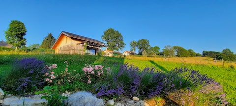 Annonce Airbnb populaire: The eco-friendly wooden house shelter near lakes and nature à Diocèse De Saint Claude