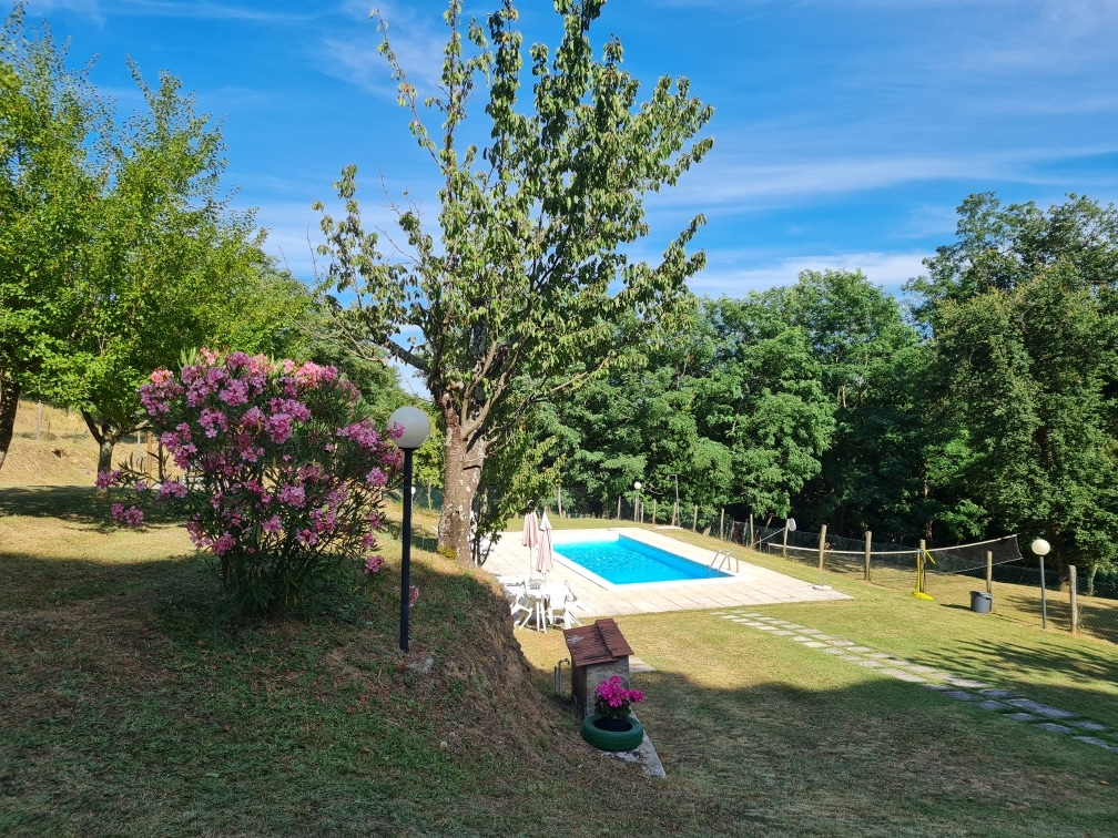 An outdoor area features a swimming pool surrounded by lush greenery and flowering bushes. Comfortable lounge chairs are positioned by the pool. Soft sunlight bathes the scene, creating a serene environment, while a pathway of stones leads through the well-maintained grass.
