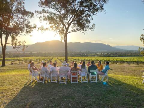 Winmark Wines | My Mountain