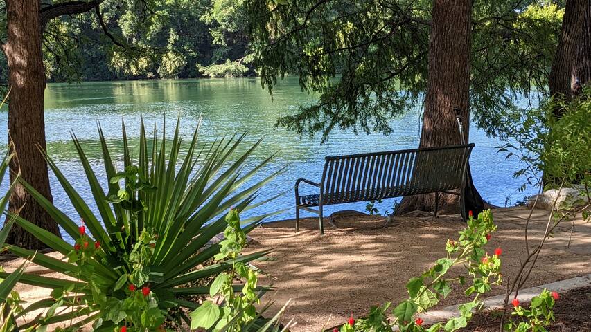 Kayak-Swim-SUP-Nature-Hikes-7 min to city center gallery image 5