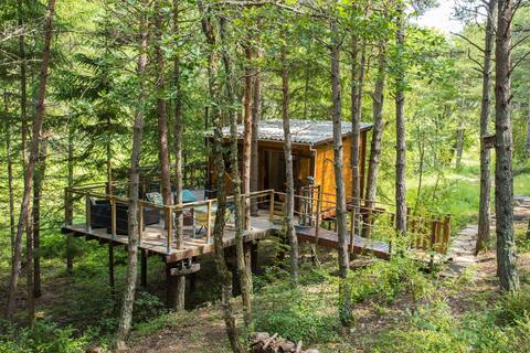 Treehouse
