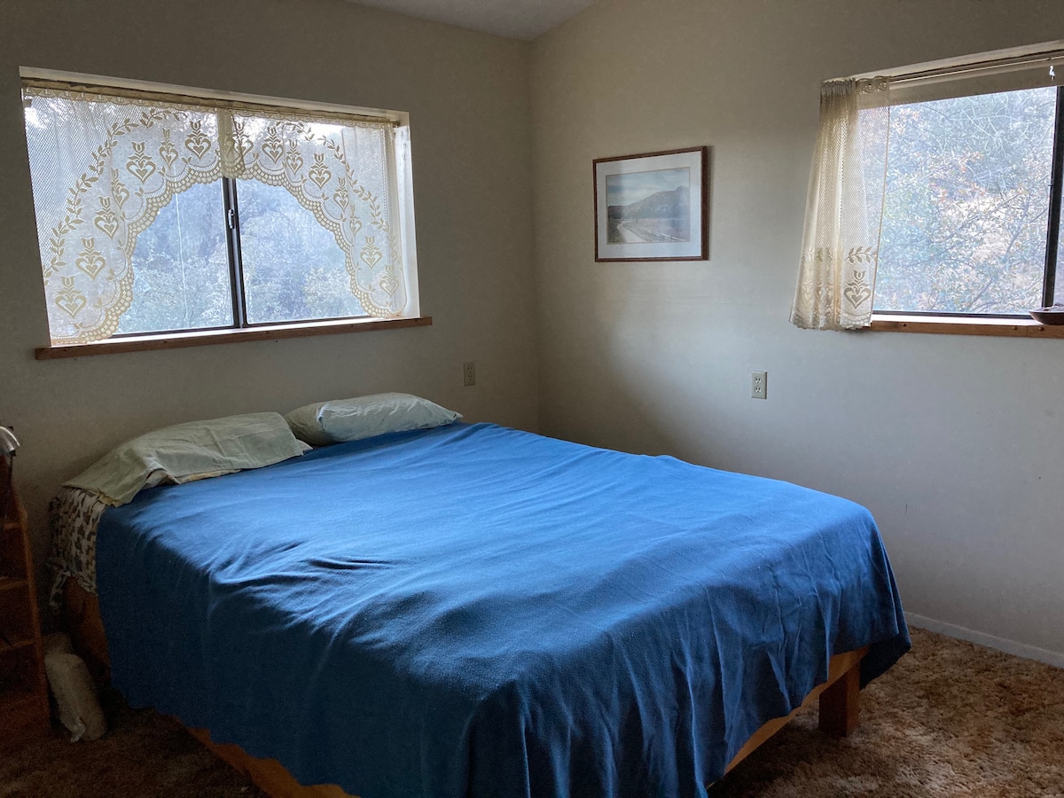 חדר שינה למטה עם מיטת קווין סייז. נוף. שטיח, ארון, שידה.