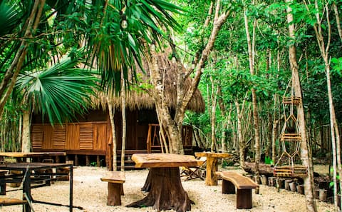 Successful Airbnb property: Brillo de Estrellas cabin with cenotes and pool in Luis Donaldo Colosio