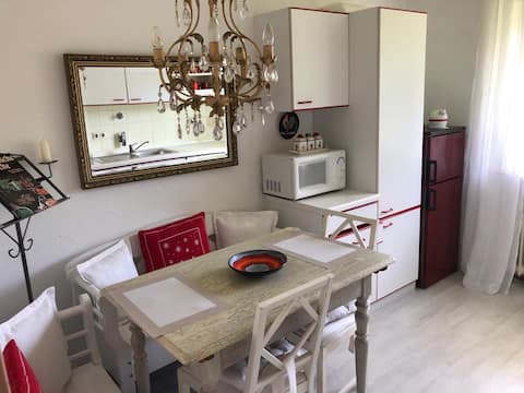 Top performing Airbnb: 3-room apartment in Wasserburg am Bodensee in Wasserburg (Bodensee)