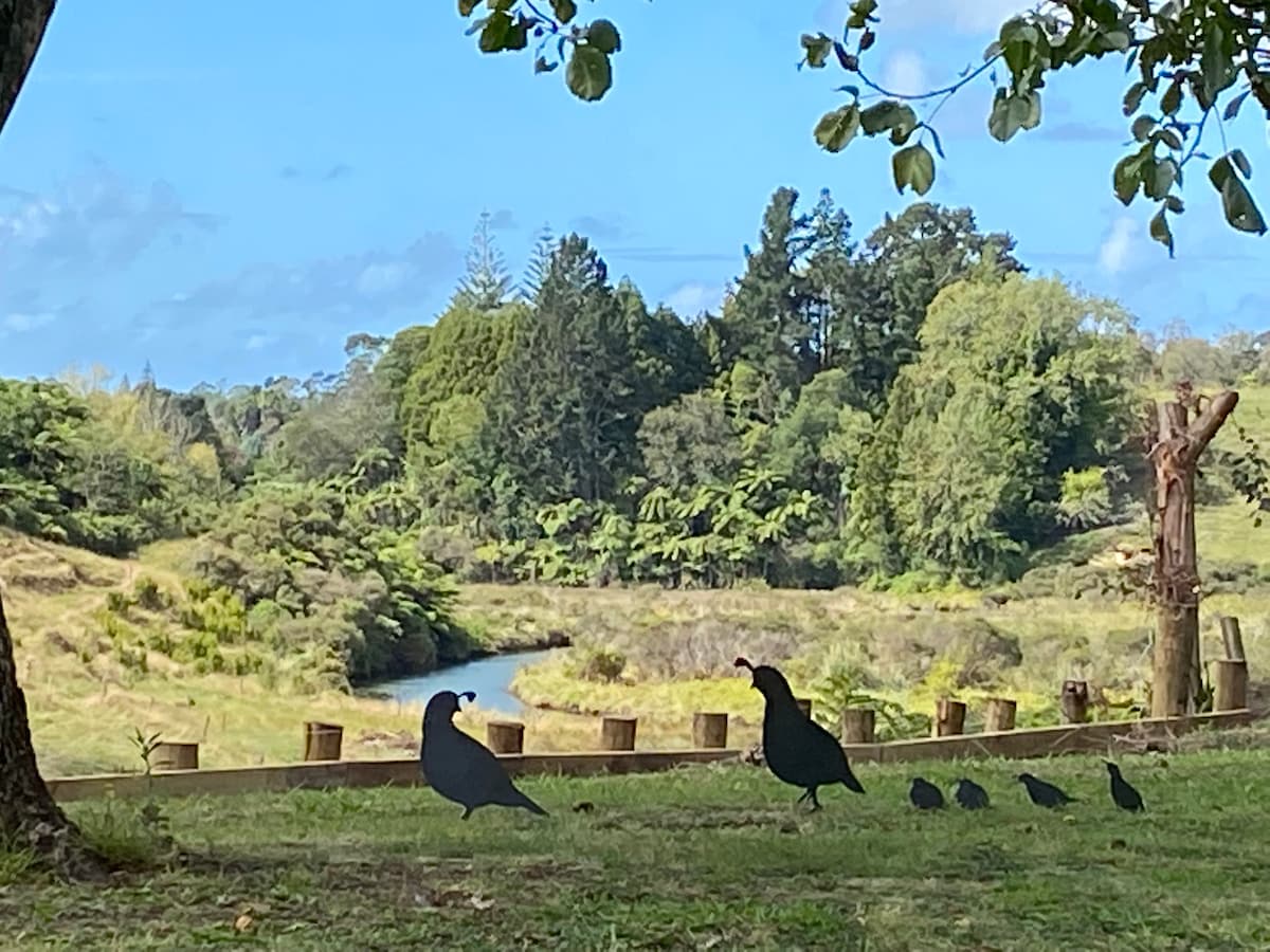 A scenic view of a river surrounded by lush greenery and trees. Silhouettes of birds are visible in the foreground, walking along the grassy area. The tranquil landscape captures the essence of the rural setting, highlighting the natural beauty of the surroundings.