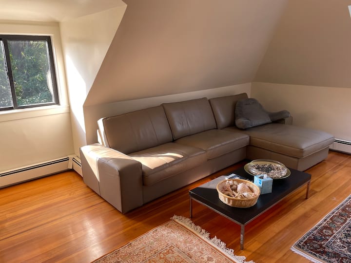 Lovely, Large 3 Room Apartment - Somerville, MA