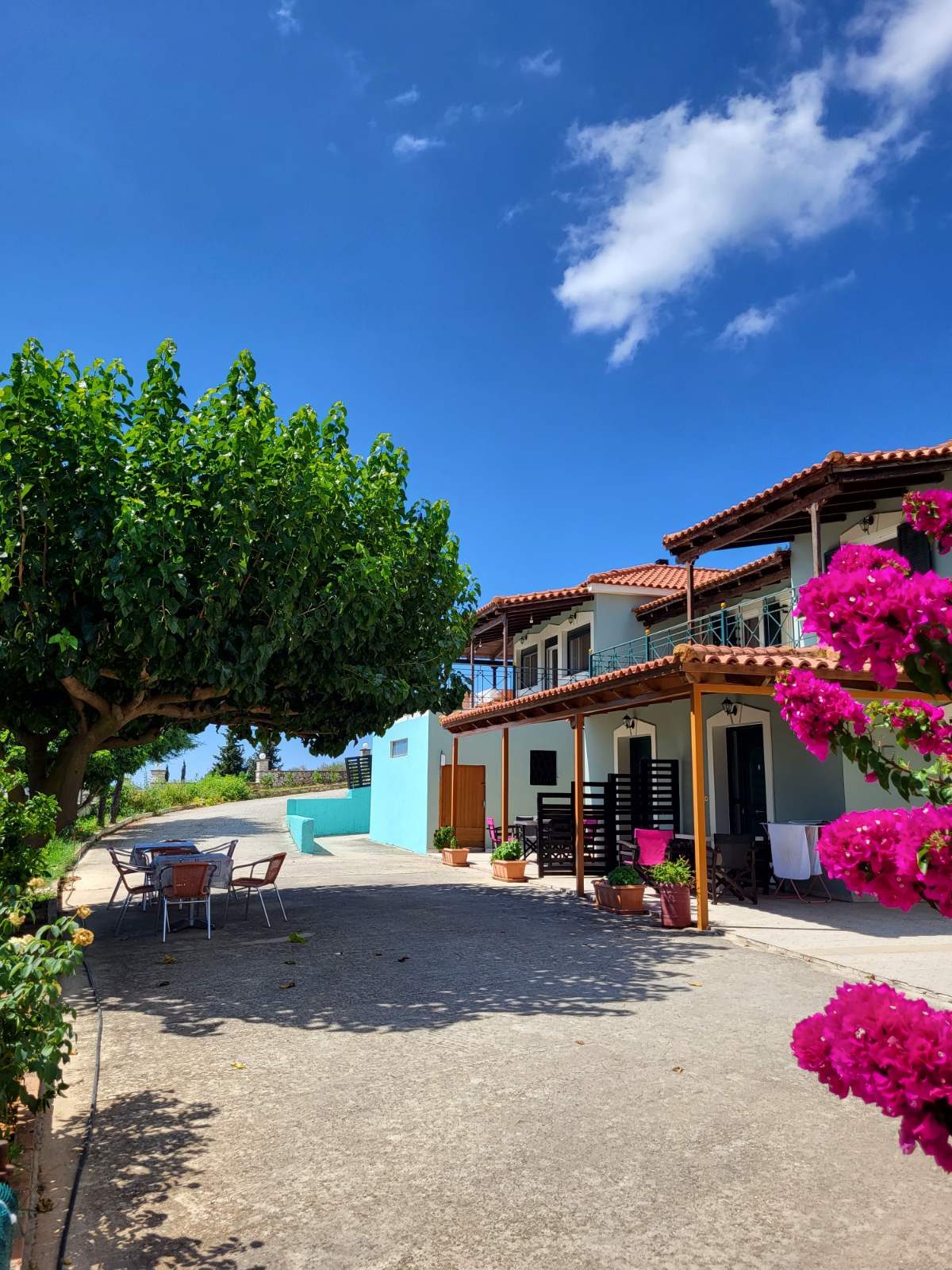 A bright outdoor space is showcased, featuring lush green trees and vibrant pink blossoms. The pathway leads to a welcoming building with multiple balconies, complemented by outdoor seating arrangements. Clear blue skies provide a serene backdrop for this tranquil environment.