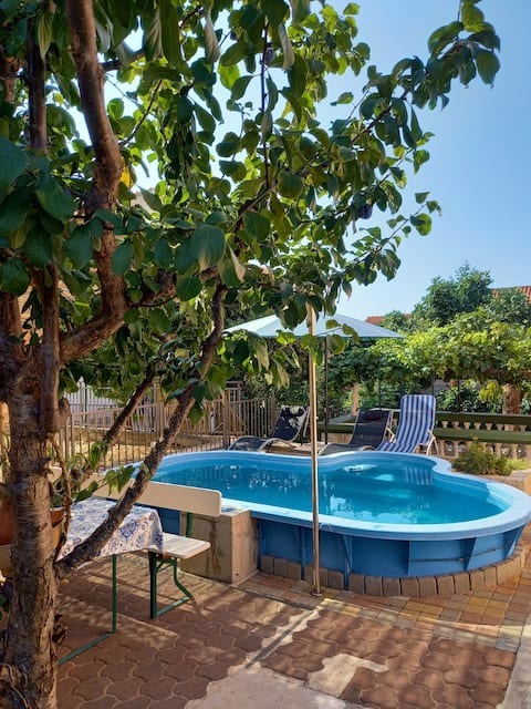 Vila Nemo-1