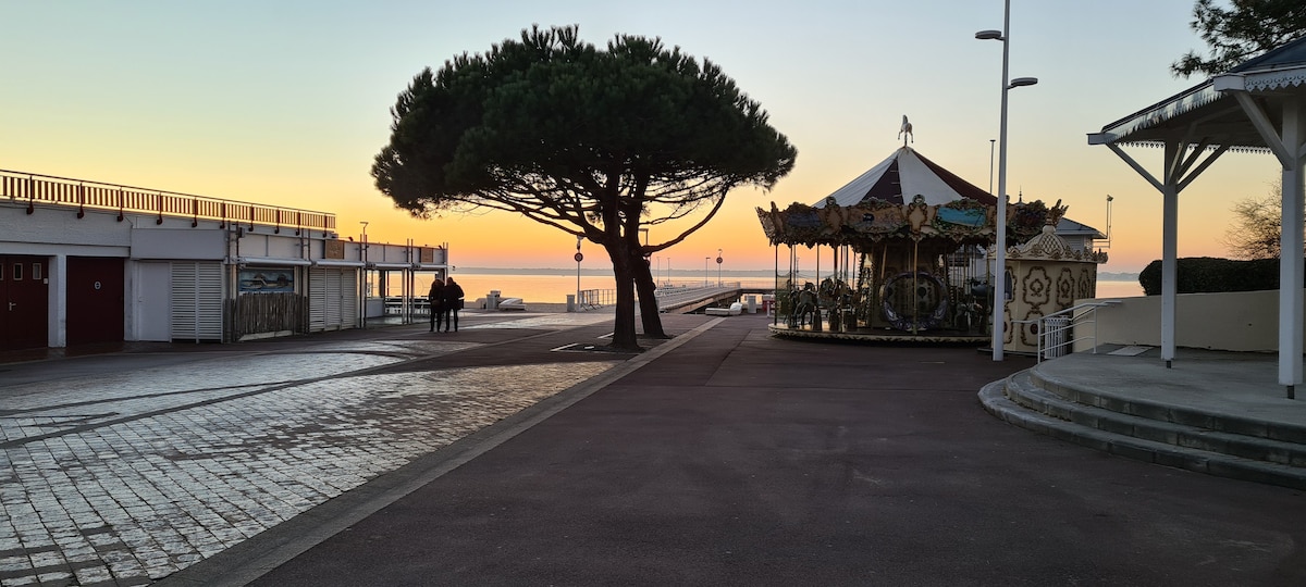 A serene waterfront scene captures a path lined with cobblestones leading towards the calm sea. A large pine tree provides shade near a vintage carousel. A soft sunset glow reflects on the water's surface, enhancing the tranquil ambiance of the area.