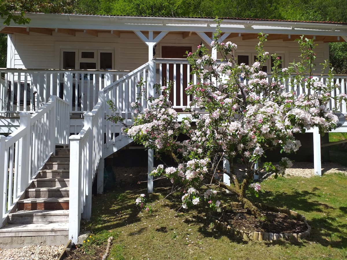 A wooden cabin is showcased with a white railing and stairs leading up to it. Flowering trees and greenery surround the area, complementing the natural setting. The cabin features large windows that invite light into the interior.