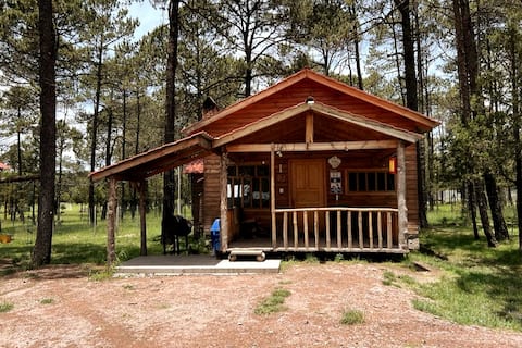 Cabaña Santa Maria en Mexiquillo Durango 02