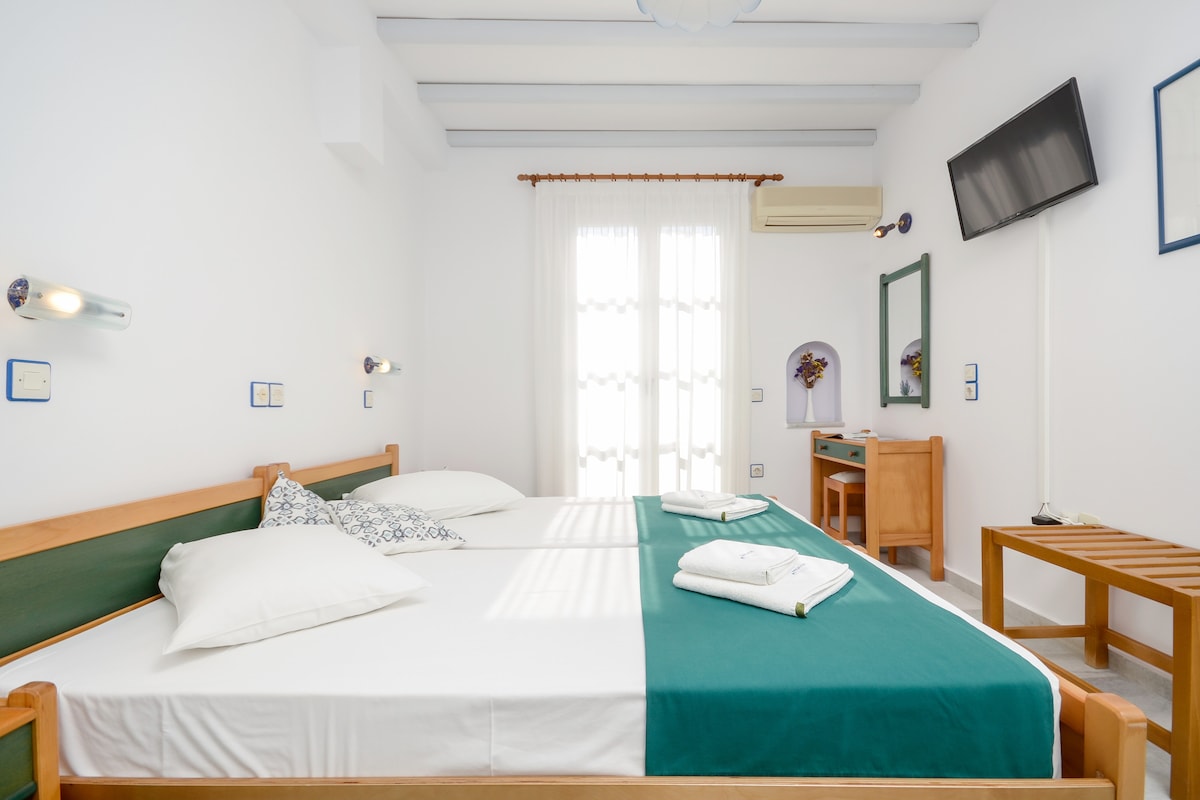 Estudio con dos camas individuales, con todas las comodidades modernas, como aire acondicionado, nevera, cocina totalmente equipada, hervidor de agua, internet de alta velocidad, TV vía satélite, caja de seguridad de tamaño superior, secador de pelo, limpieza diaria. ¡Le deseamos unas excelentes vacaciones en Naxos !