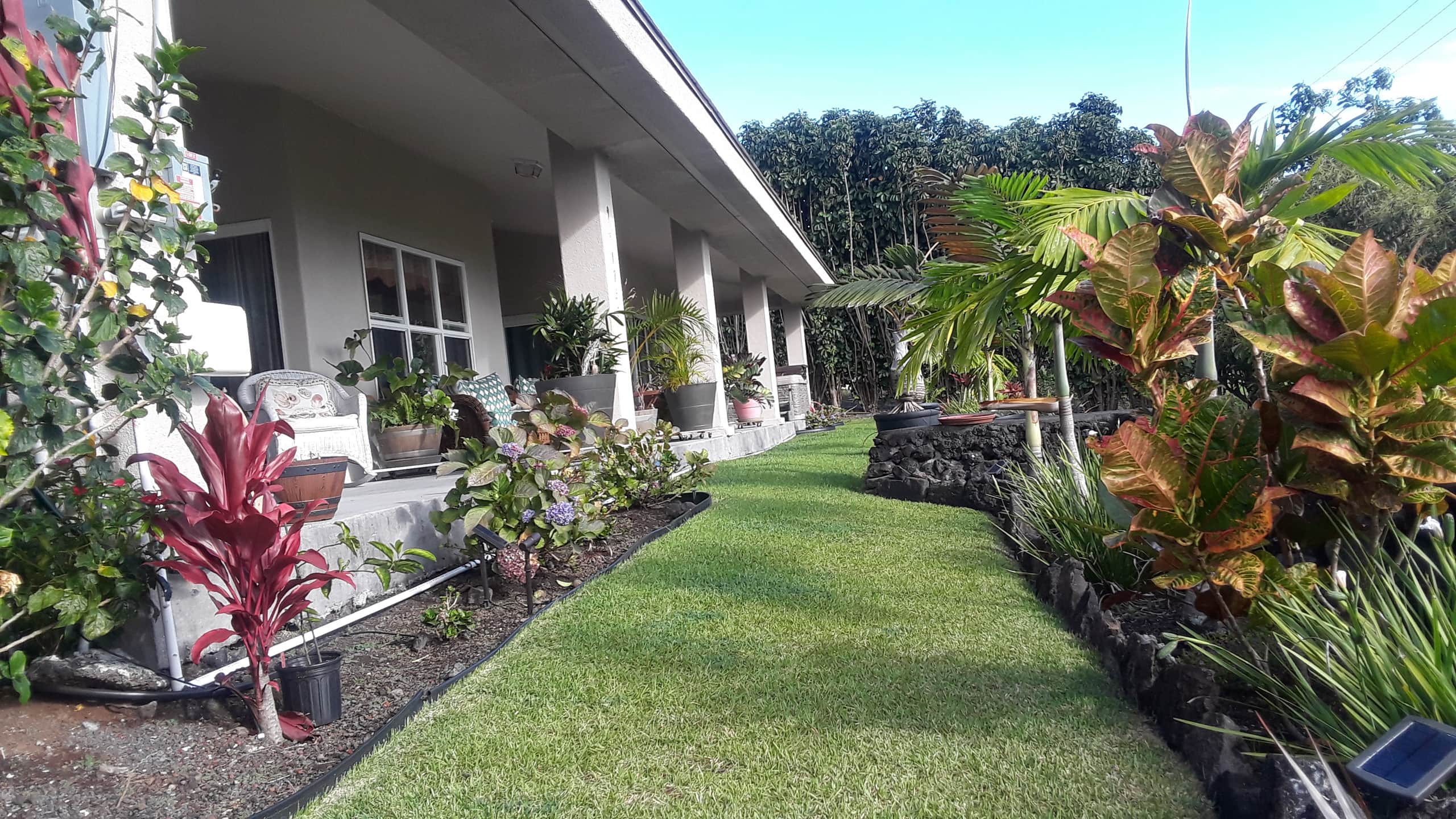 Home in Naalehu · ★5.0 · 3 bedrooms · 4 beds · 1.5 private baths - Image 23