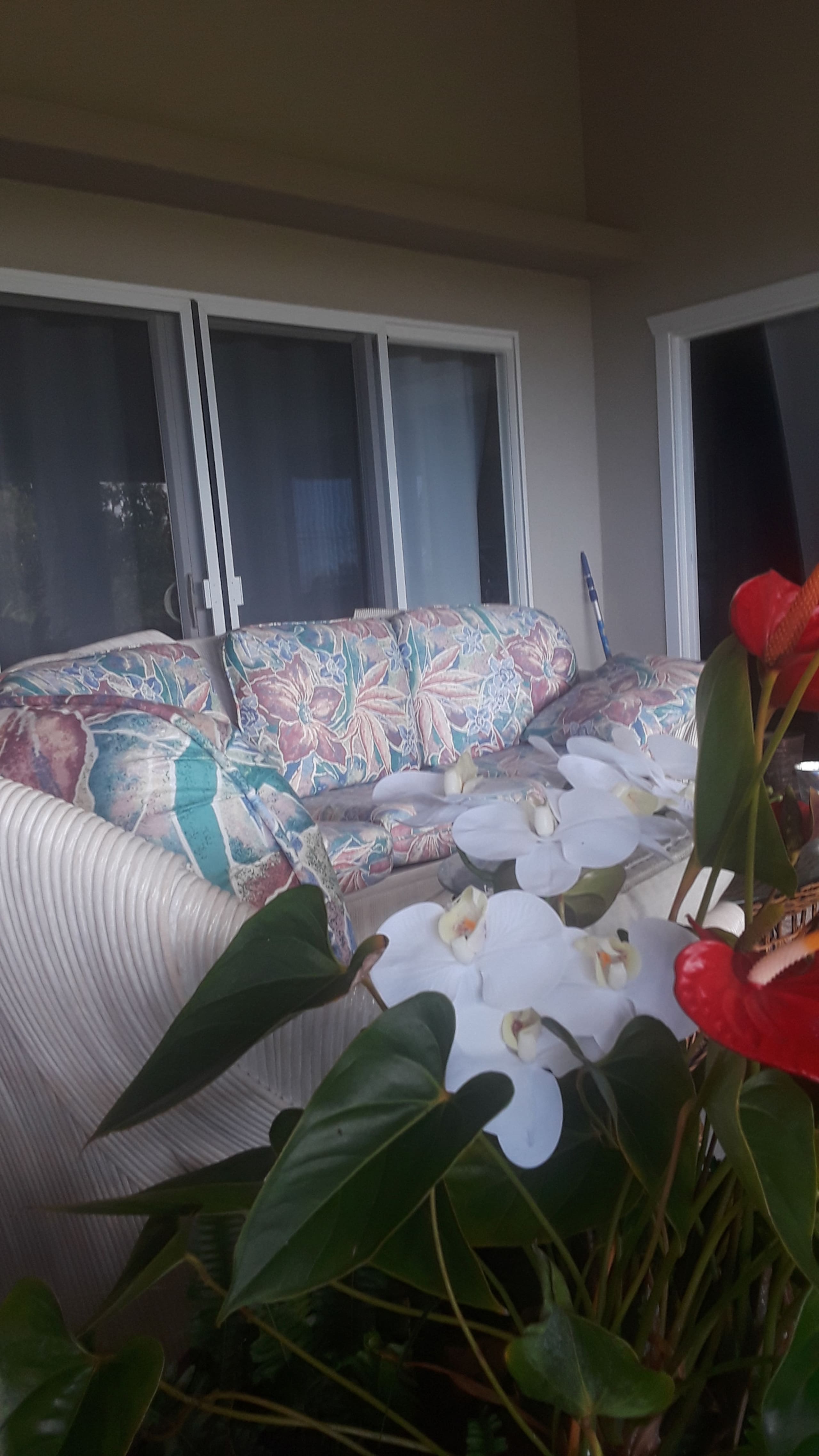 Home in Naalehu · ★5.0 · 3 bedrooms · 4 beds · 1.5 private baths - Image 24