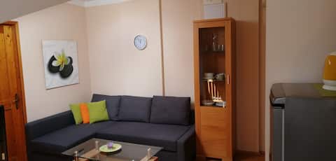 Cosy apartment in the city centre - Rijeka