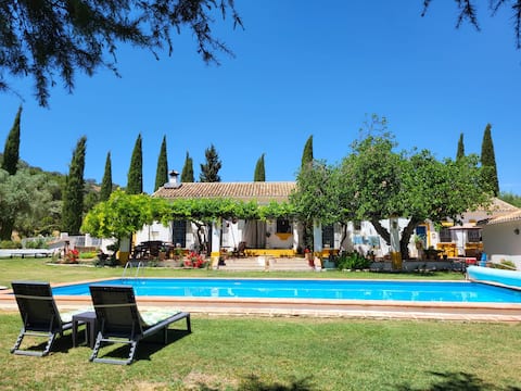 Country cottage in olive grove with pool Ronda 9km
