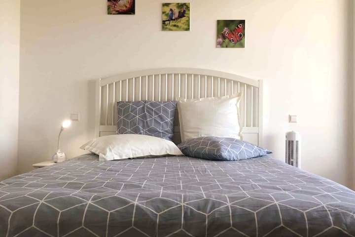 Habitación 1