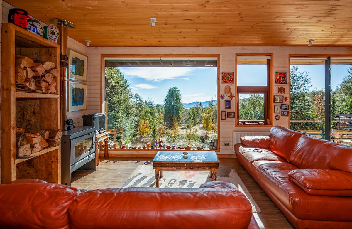 我们房源的客厅可俯瞰本土森林，光线充足！