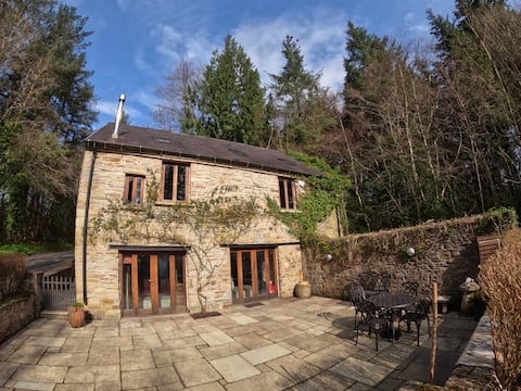 The Old Sawmill, Lough Eske 18th Century Mill