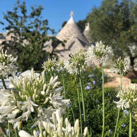 Trullo Genesi, an italian fairytail gallery image 3
