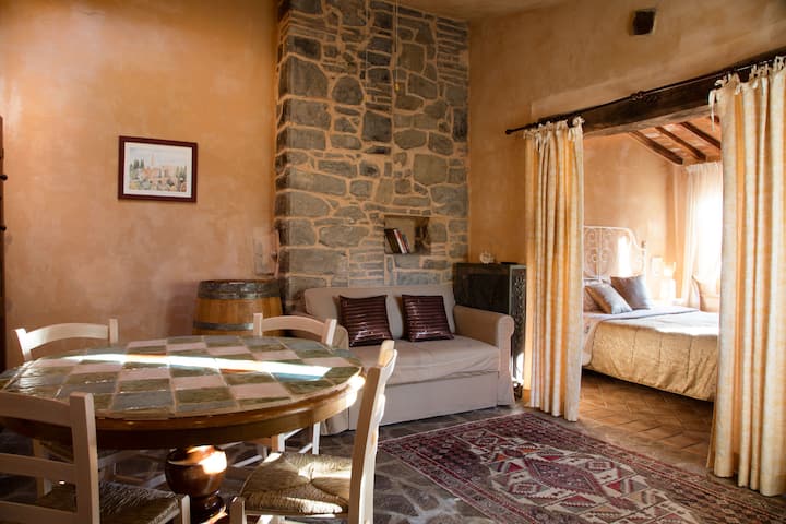 Panoramic Country Suite Montalcino - Montalcino