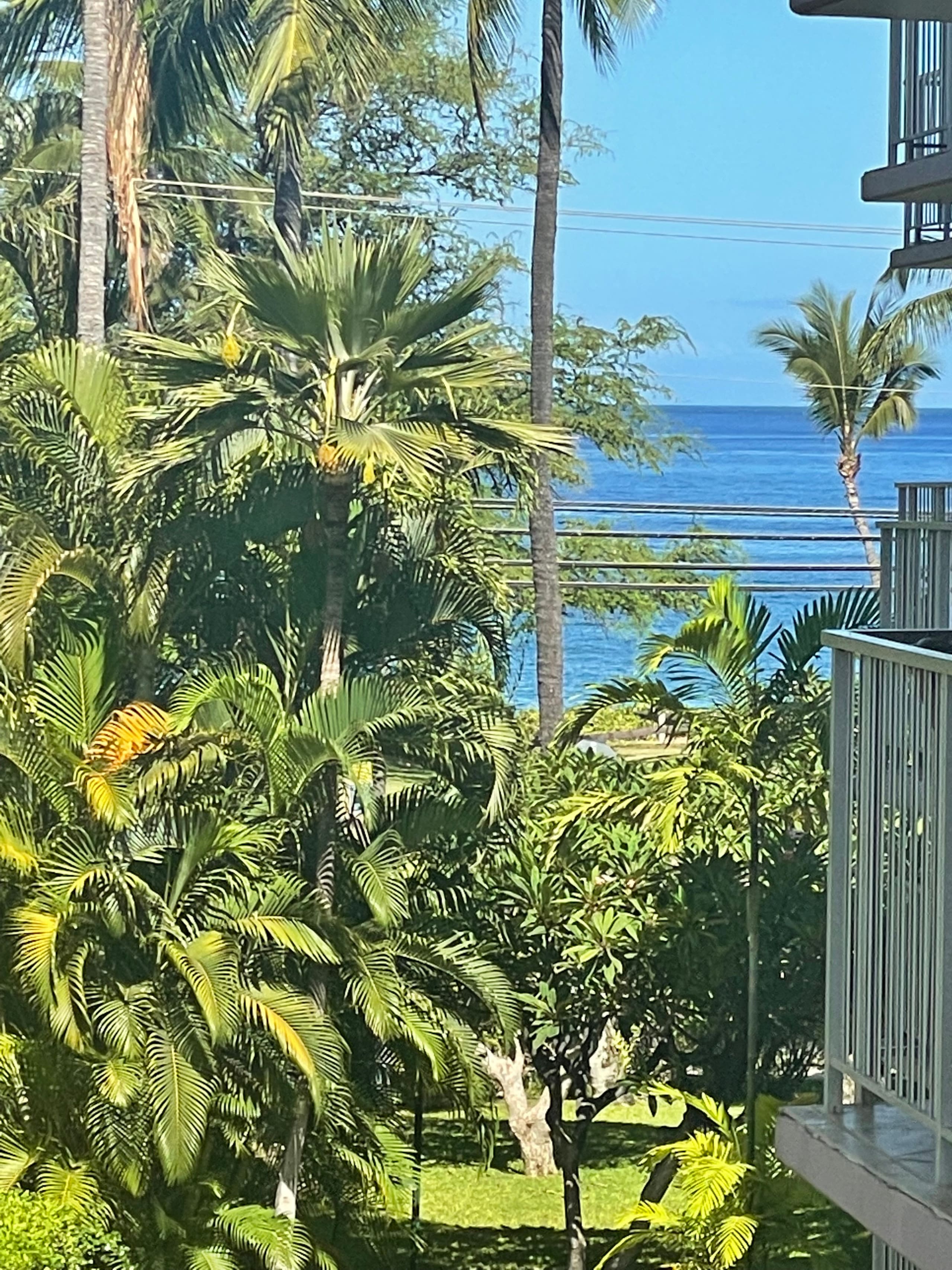 Condo in Kihei · ★4.9 · 2 bedrooms · 4 beds · 2 baths - Image 10