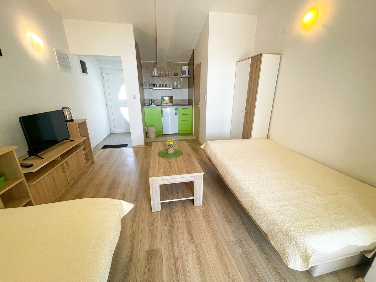 Apartman Milan 1