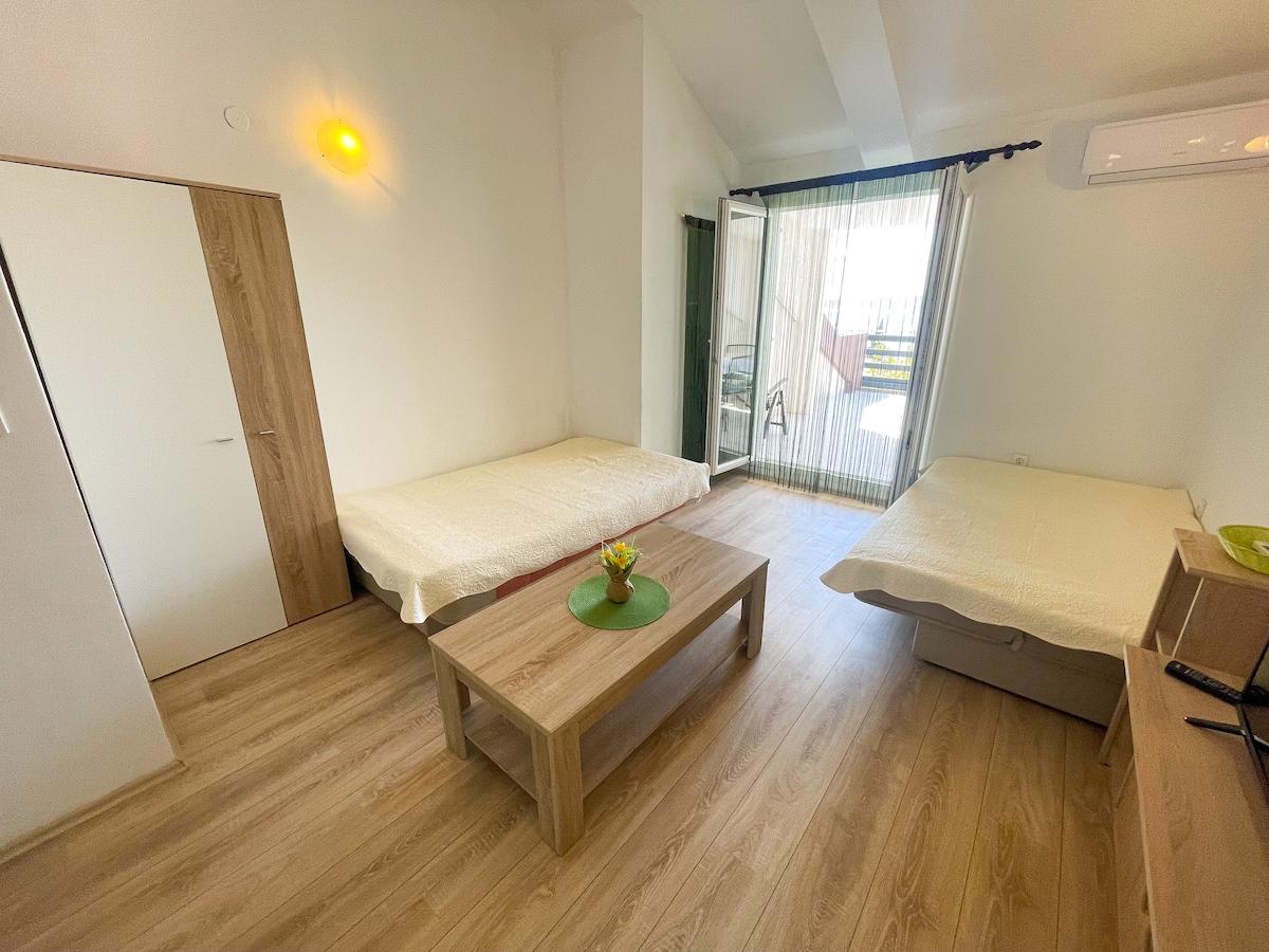 Apartman Milan 1