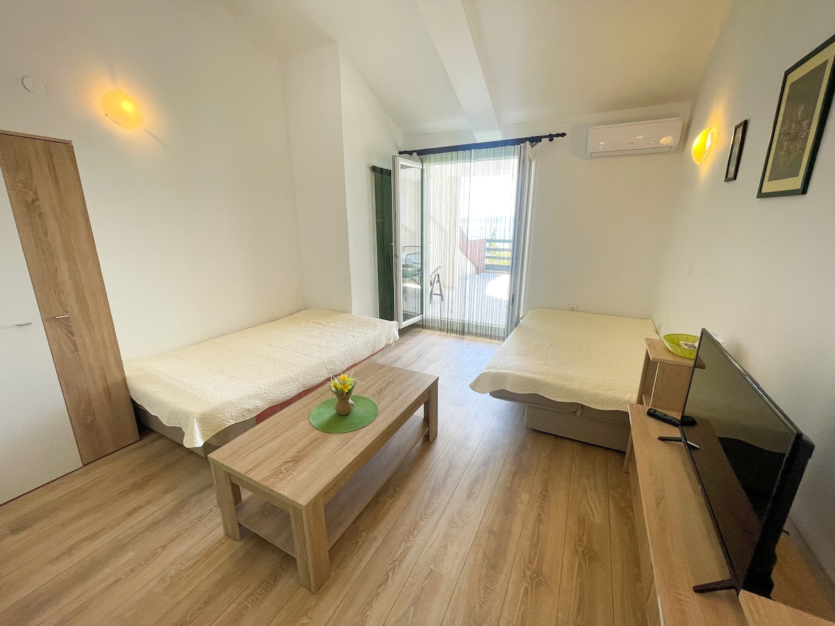 Apartman Milan 1