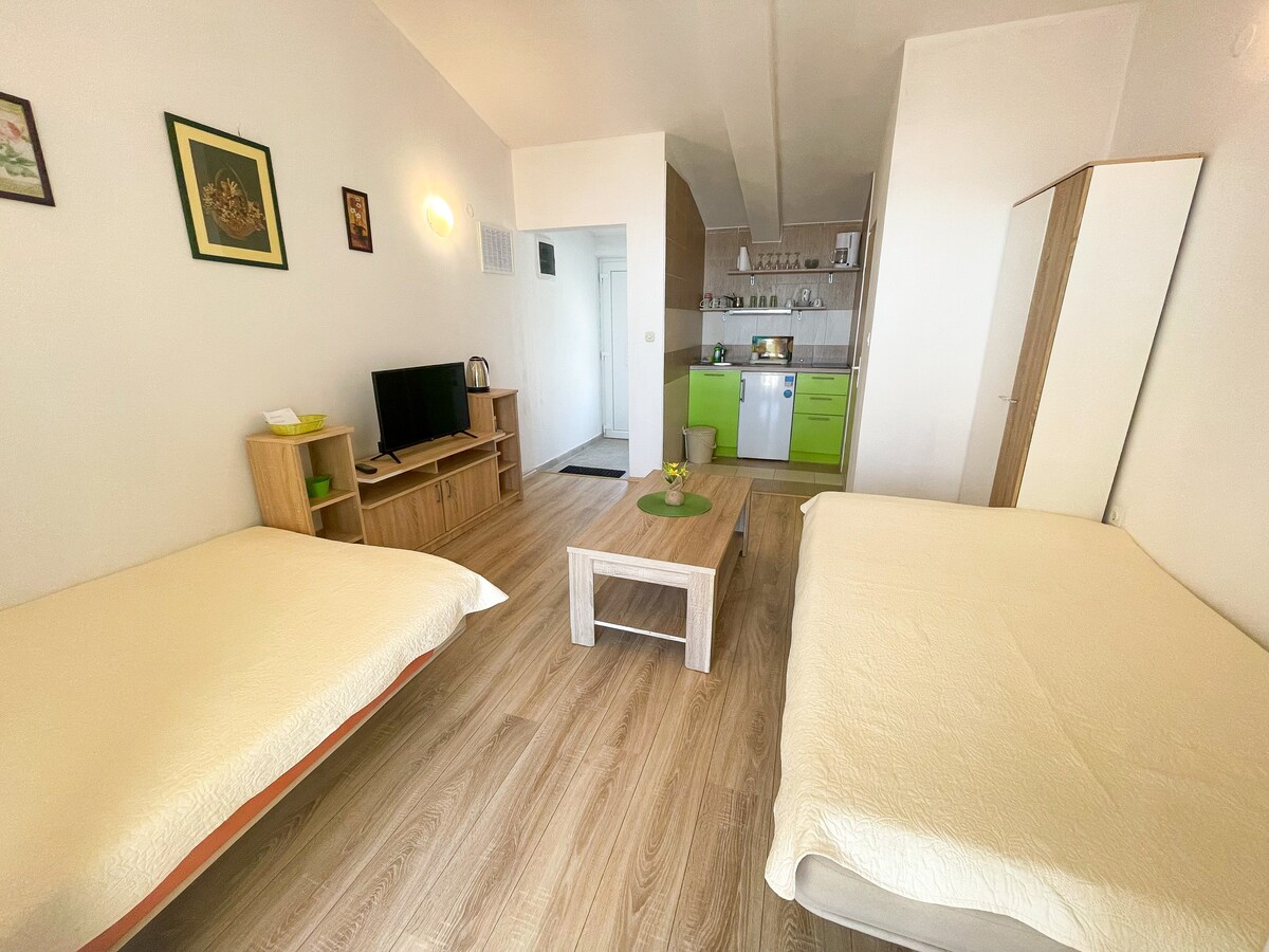 Apartman Milan 1
