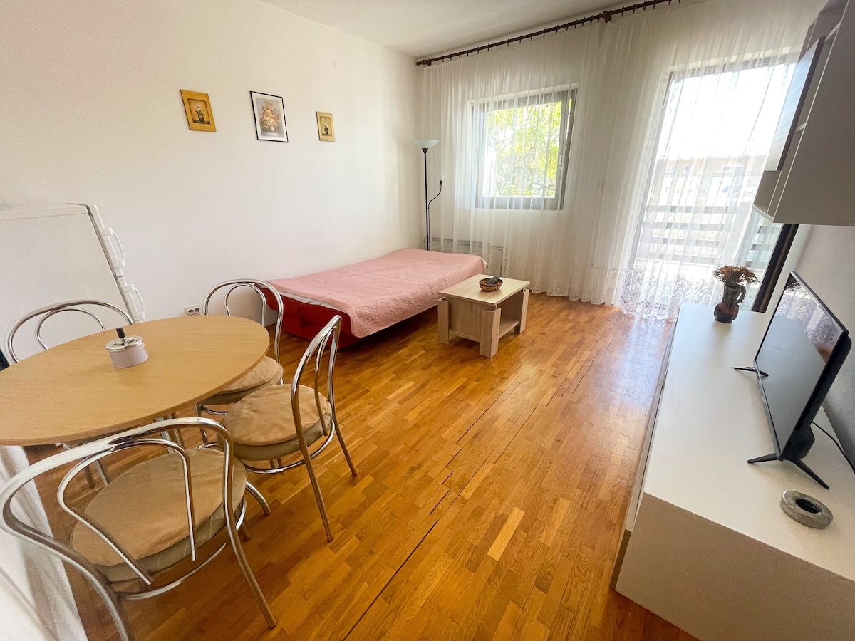 Apartman Milan 2