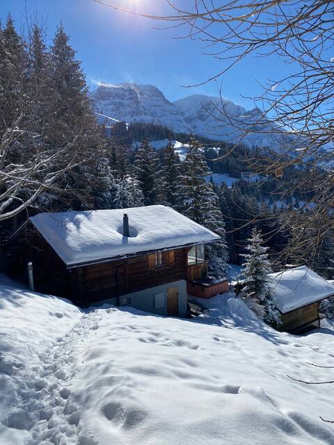 A dream at 1,700 meters height ...