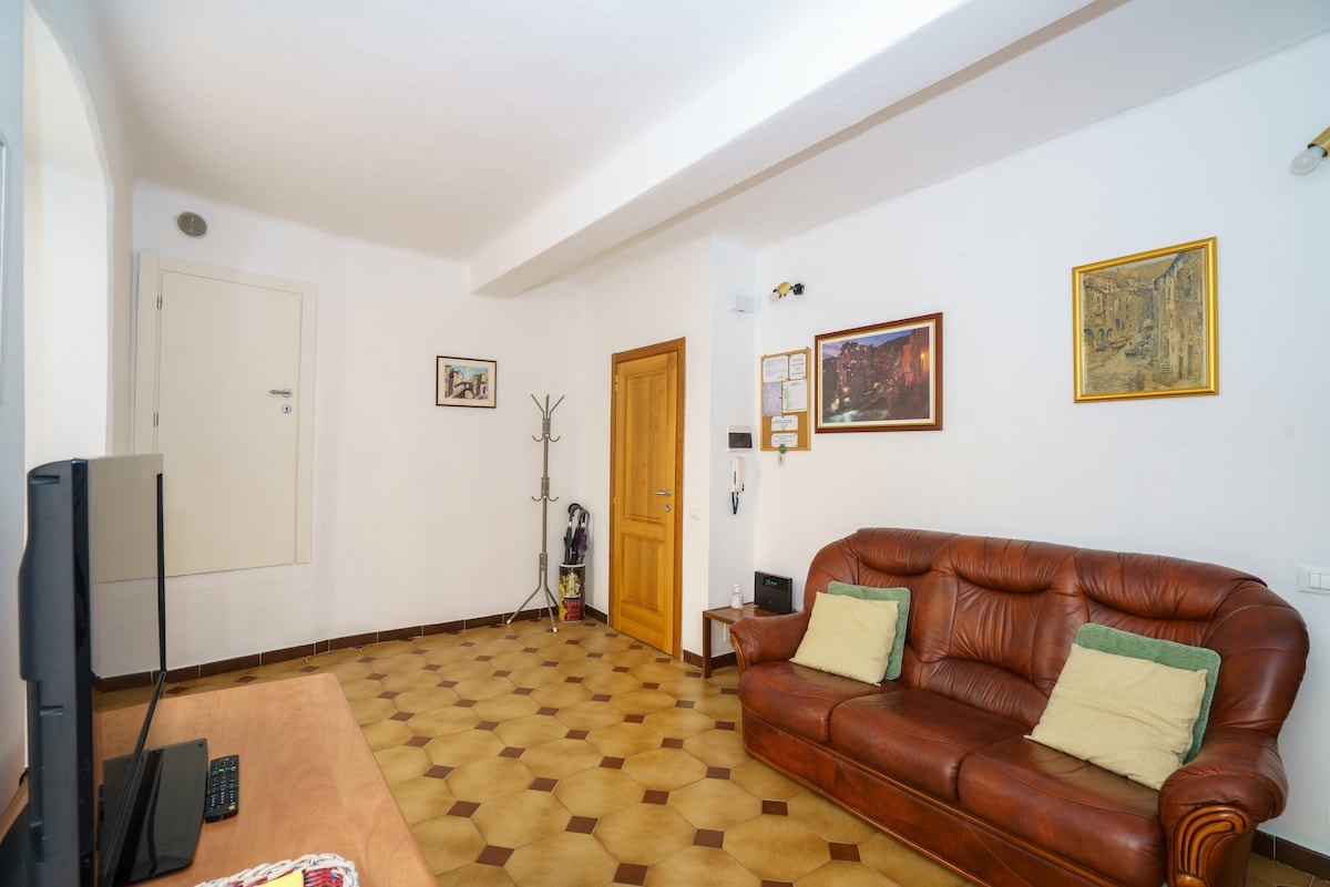 Successful Airbnb property: Apartment Da Elisa - Riomaggiore in Riomaggiore