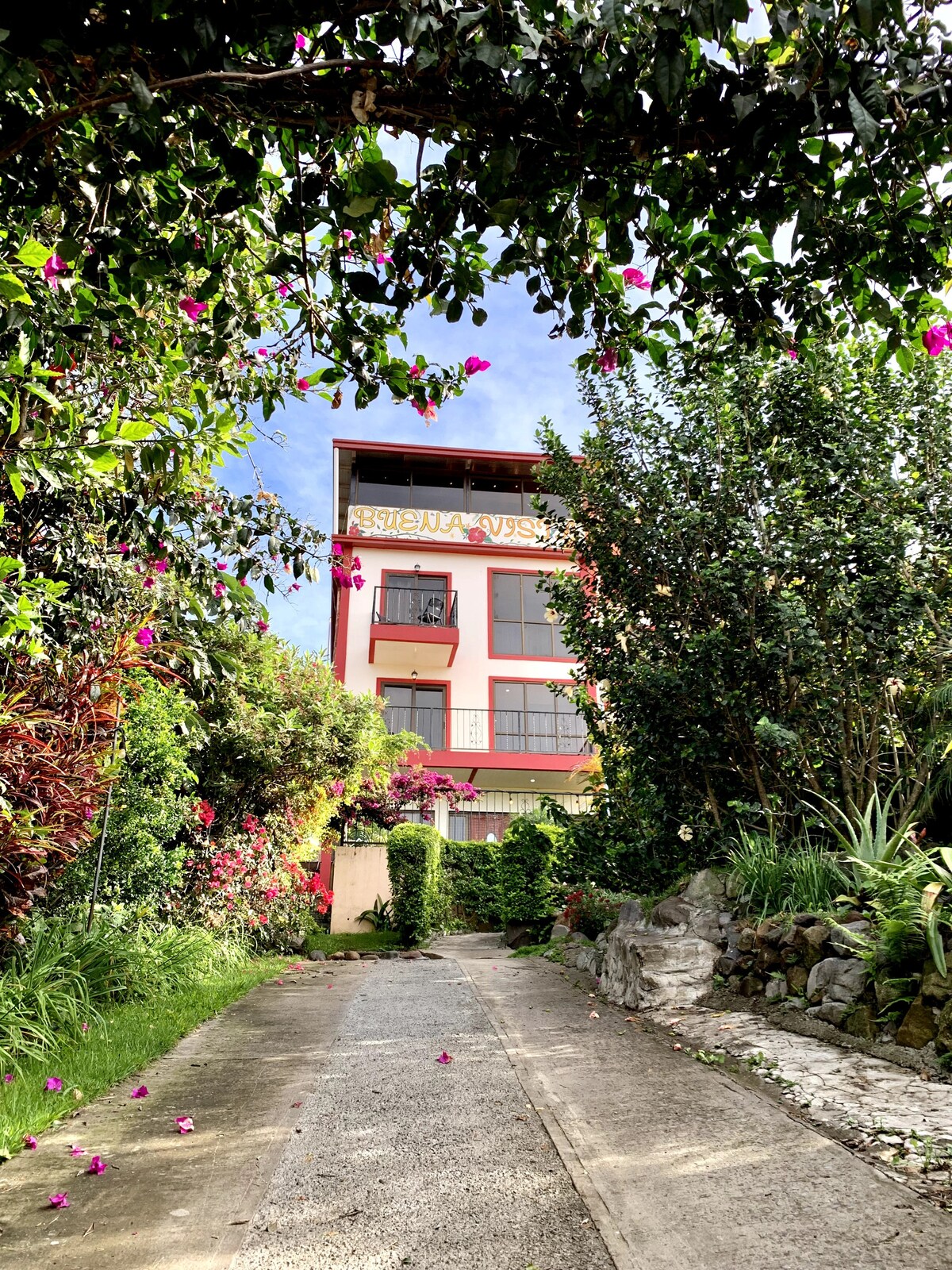 A winding pathway leads through lush greenery and vibrant flowers towards a charming multi-story building. The colorful façade of the building is visible above the surrounding foliage, creating an inviting atmosphere in the garden-like setting.