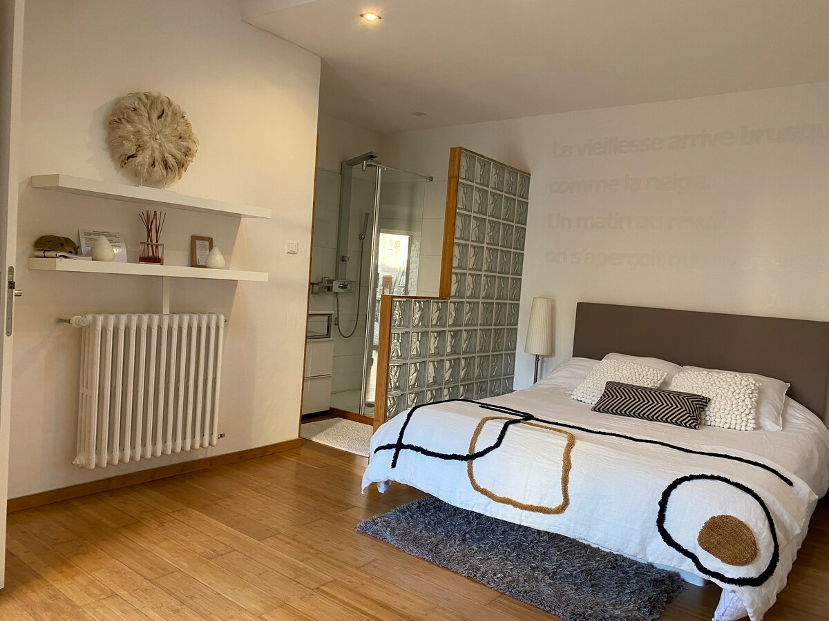 A well-lit bedroom features a spacious bed with a patterned blanket. A shelving unit displays decorative items, while a unique wall decoration is visible. The bathroom area, delineated by glass blocks, contains a walk-in shower, providing an open and airy feel.