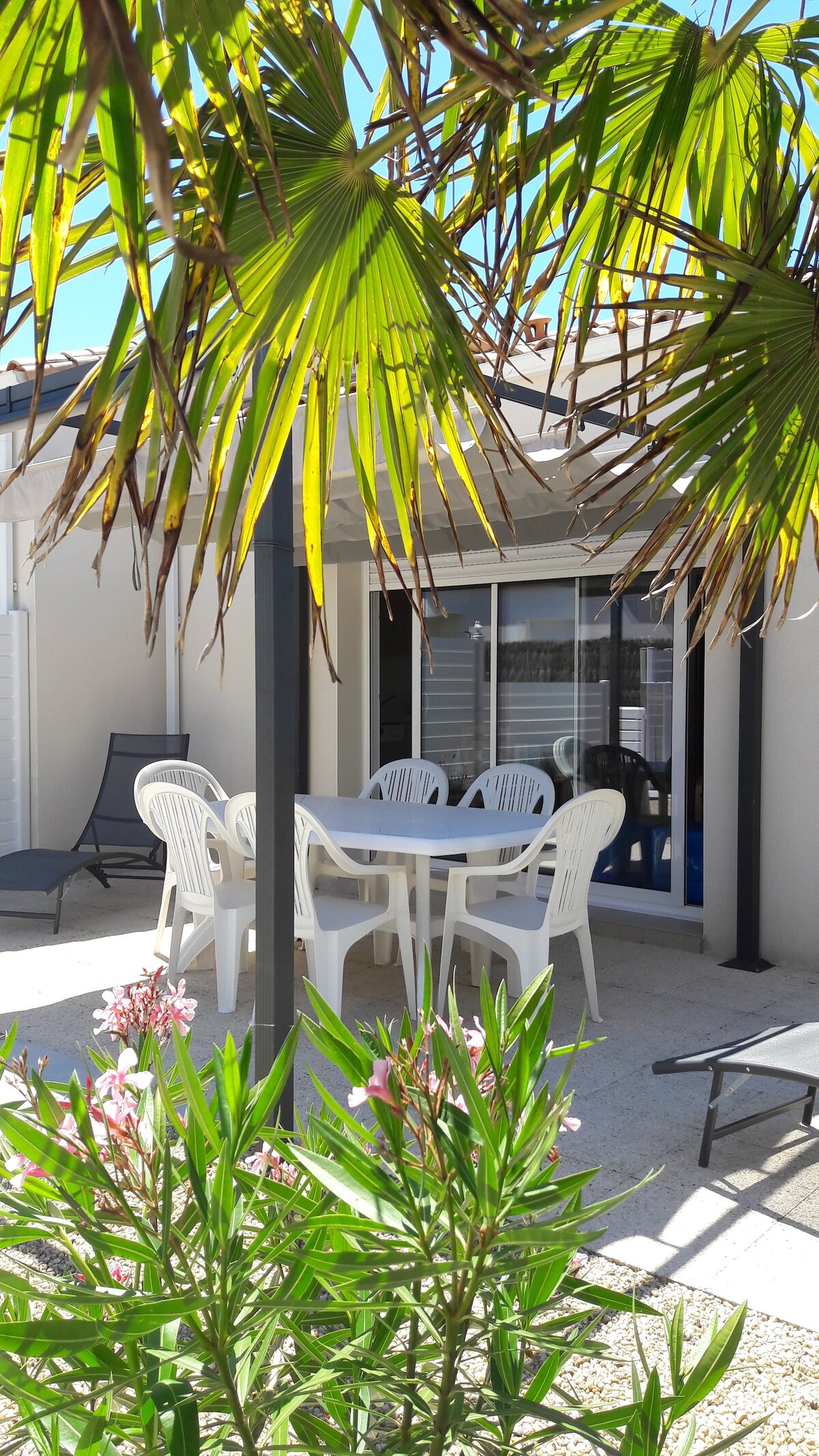 An outdoor terrace is shown with a round table surrounded by six white chairs, providing a space for dining and relaxation. Sunlight filters through the palm leaves above, while flowering plants add a touch of greenery to the scene. Glass doors lead into the living area.