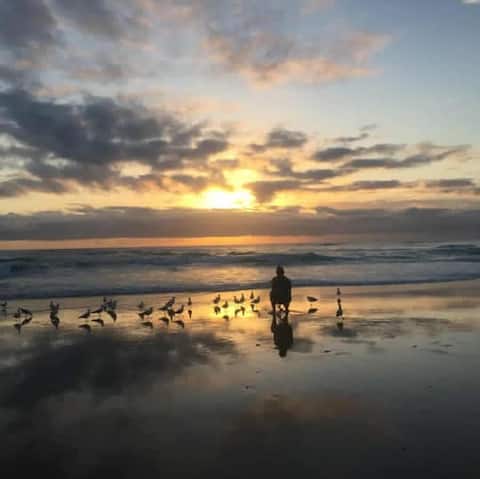 Popular Airbnb listing: Beach Front !! Wake up to the sound of the waves in Palm Beach