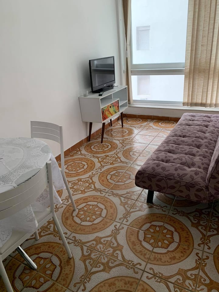 Dnevni boravak s kaučem na razvlačenje, TV-om i stolom za objedovanje 4 stolice.