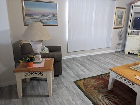 Successful Airbnb property: Indian Rocks Beach Waterfront Home, w/pool. in St. Petersburg / Clearwater