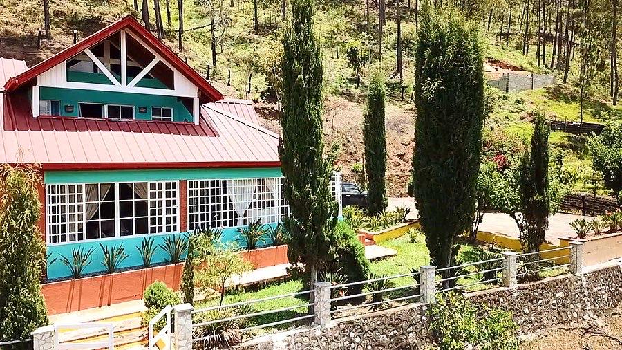 A vibrant house is surrounded by greenery, featuring large windows that enhance natural light. The exterior is adorned with a distinctive red roof and colorful blue walls. Well-maintained trees and shrubs create a welcoming landscape, with a pathway leading to the entrance.