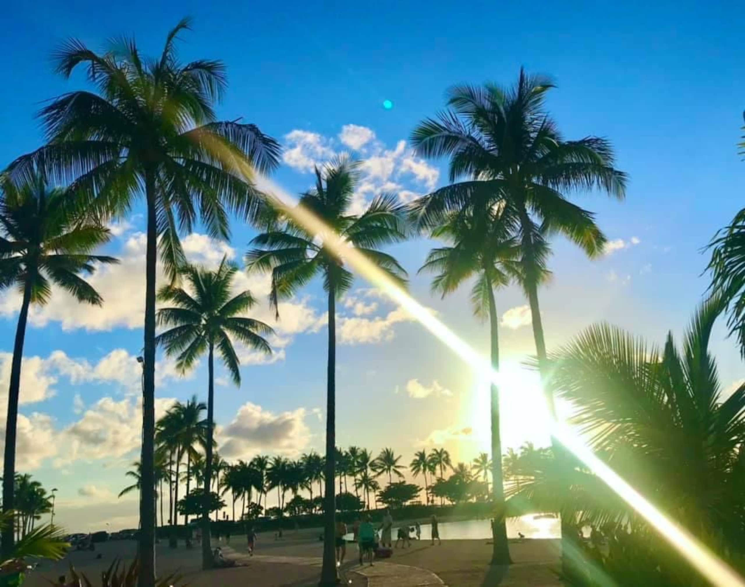 Condo in Honolulu · ★4.75 · 2 bedrooms · 3 beds · 1 private bath - Image 29
