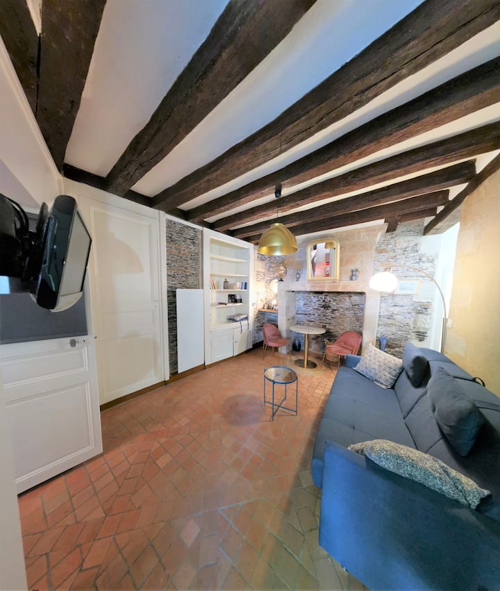 Entire home hyper center at the foot of the castle Apartments for