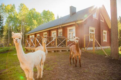 Alpaca bridge Heinähattu, log house in the countryside