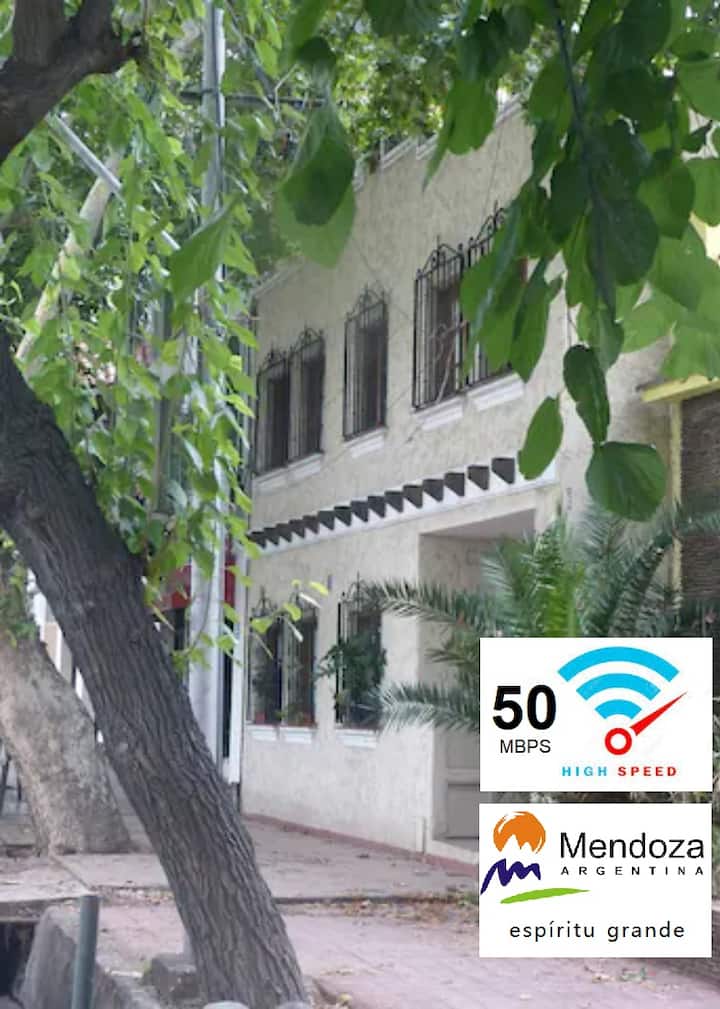 Beautiful & Spacious. In the heart of it all! Apartments for Rent in