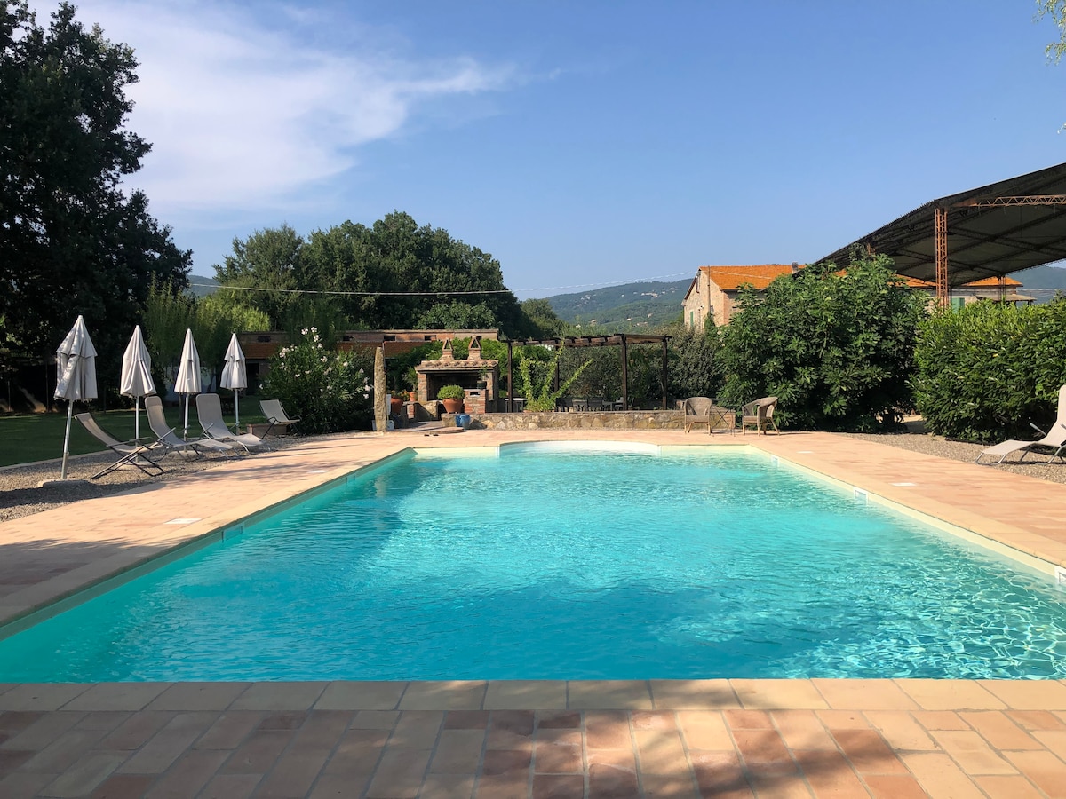 A tranquil swimming pool is surrounded by sun loungers and umbrellas under a clear blue sky. Lush greenery and a barbecue area are visible beyond the pool, enhancing the inviting atmosphere of the outdoor space.