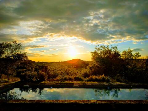 Authentic large tuscan home for groups in Chianti